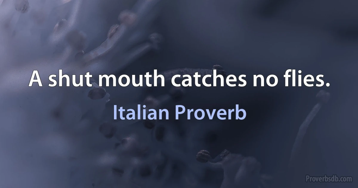 A shut mouth catches no flies. (Italian Proverb)