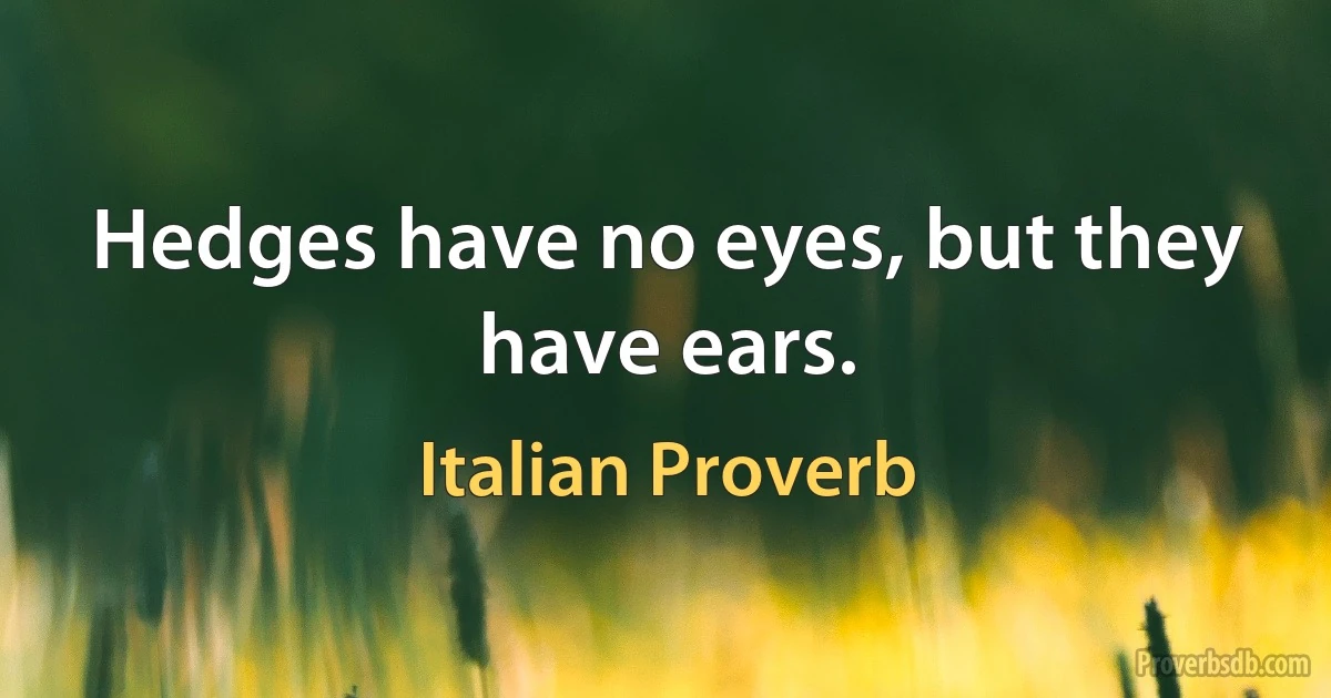 Hedges have no eyes, but they have ears. (Italian Proverb)