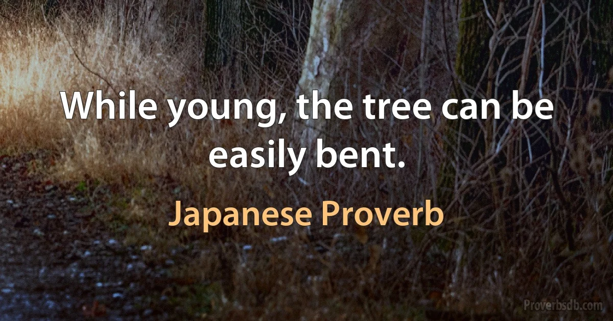 While young, the tree can be easily bent. (Japanese Proverb)