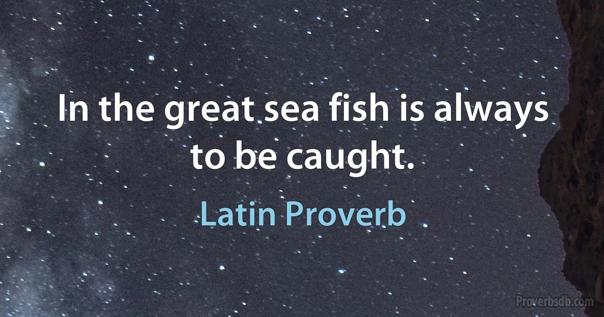 In the great sea fish is always to be caught. (Latin Proverb)