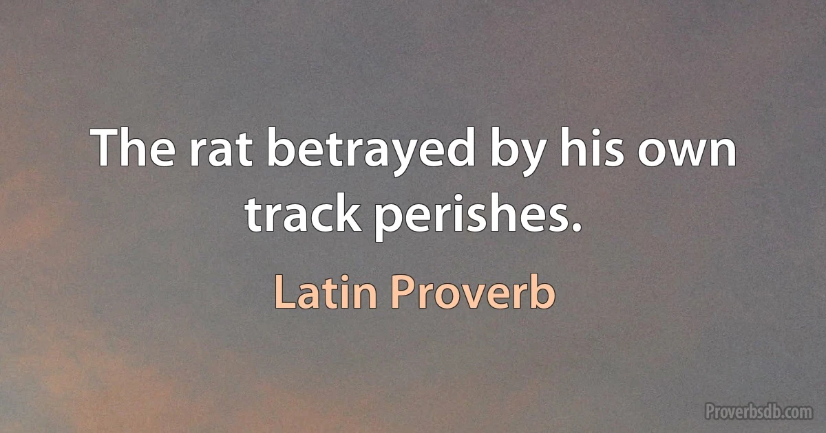 The rat betrayed by his own track perishes. (Latin Proverb)