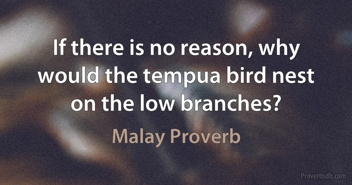 If there is no reason, why would the tempua bird nest on the low branches? (Malay Proverb)