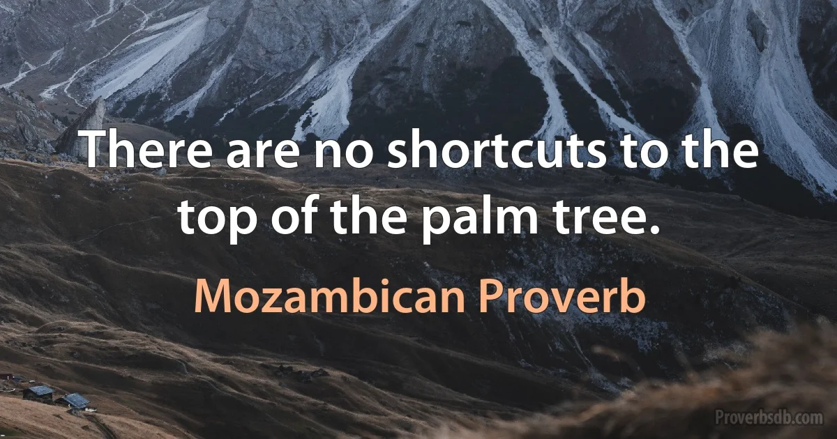 There are no shortcuts to the top of the palm tree. (Mozambican Proverb)