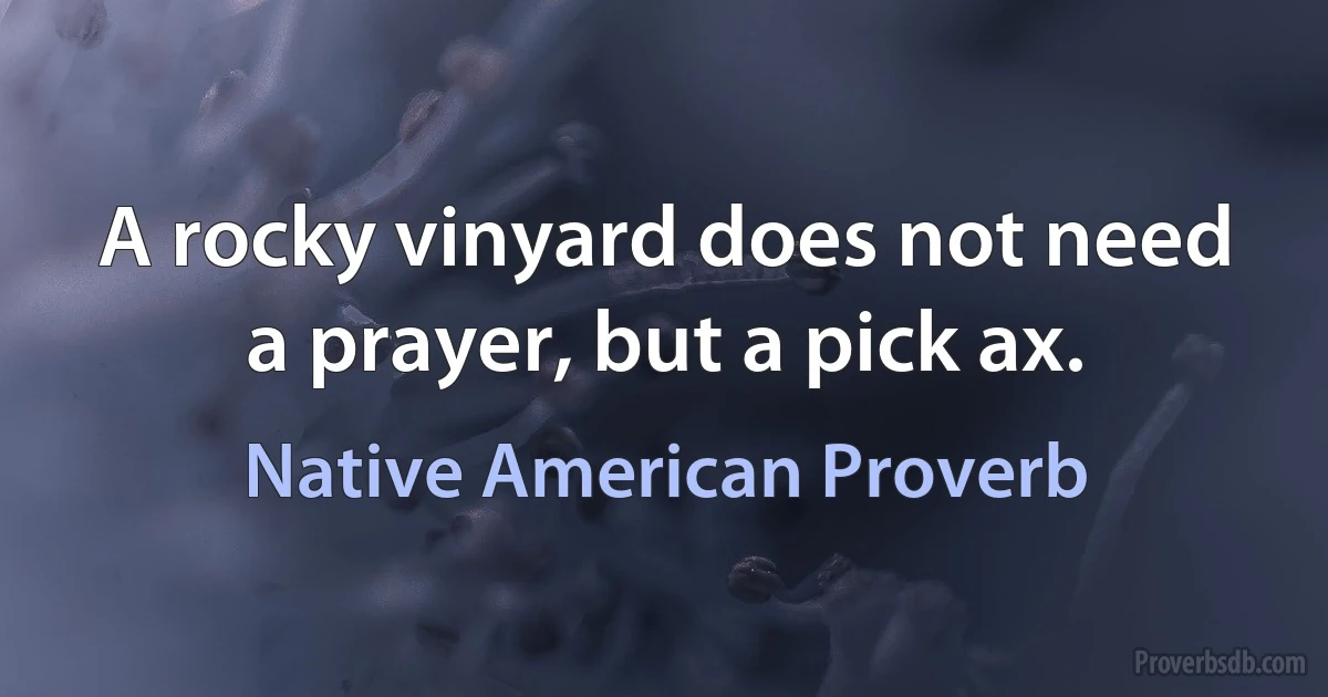 A rocky vinyard does not need a prayer, but a pick ax. (Native American Proverb)