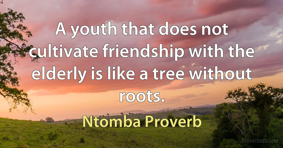 A youth that does not cultivate friendship with the elderly is like a tree without roots. (Ntomba Proverb)