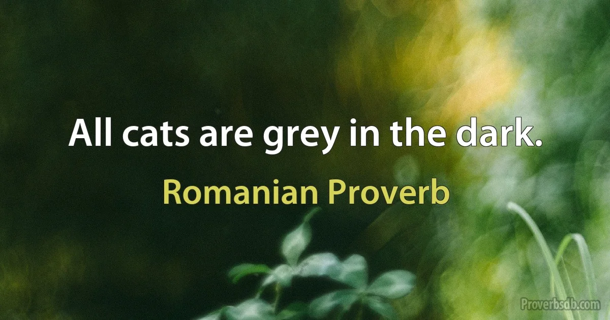 All cats are grey in the dark. (Romanian Proverb)