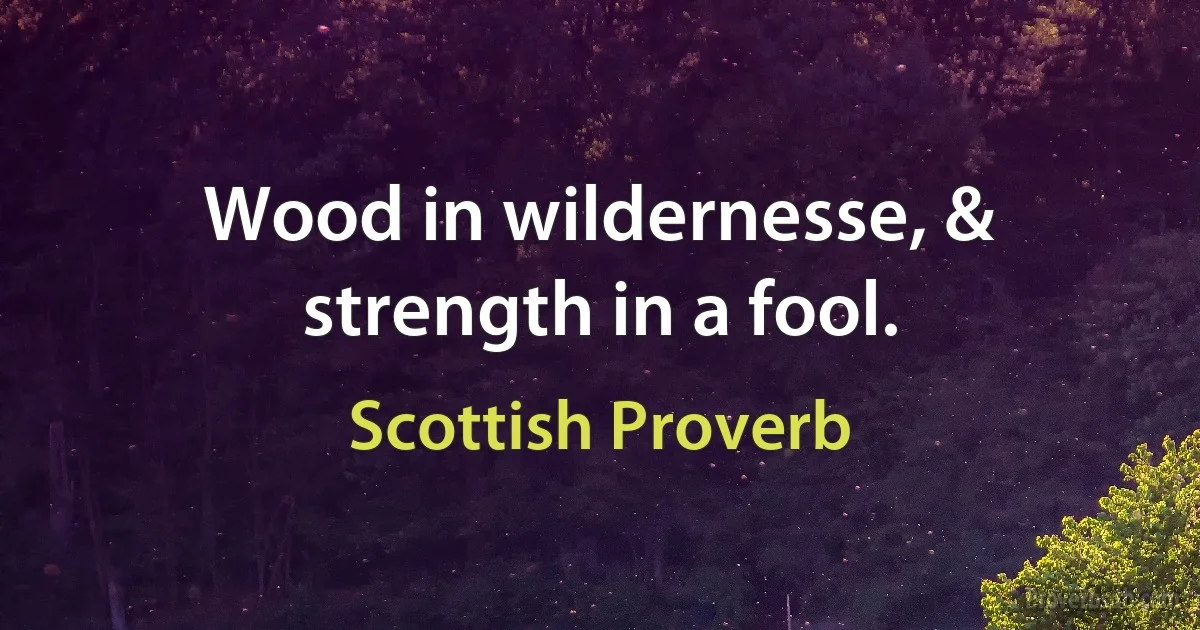 Wood in wildernesse, & strength in a fool. (Scottish Proverb)