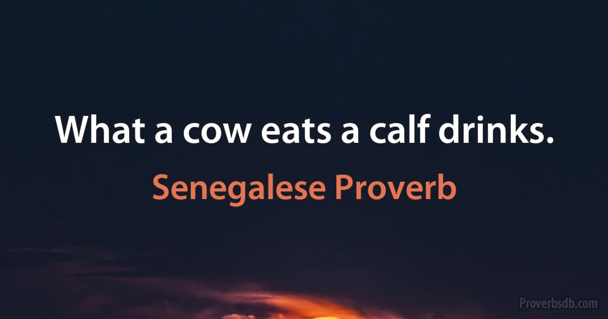 What a cow eats a calf drinks. (Senegalese Proverb)