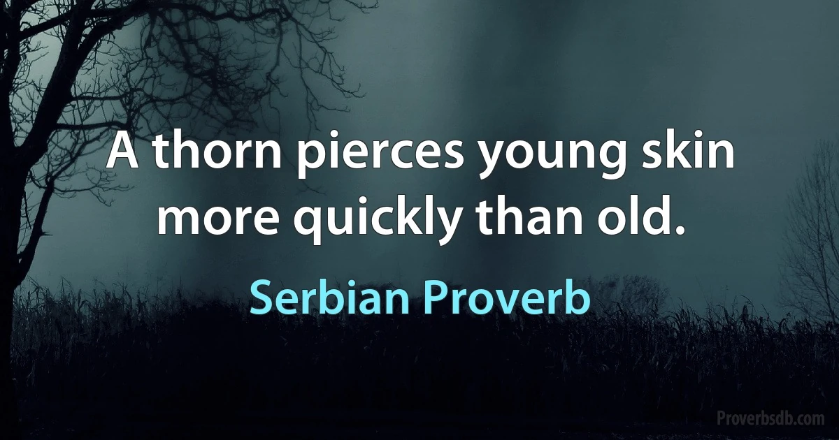 A thorn pierces young skin more quickly than old. (Serbian Proverb)