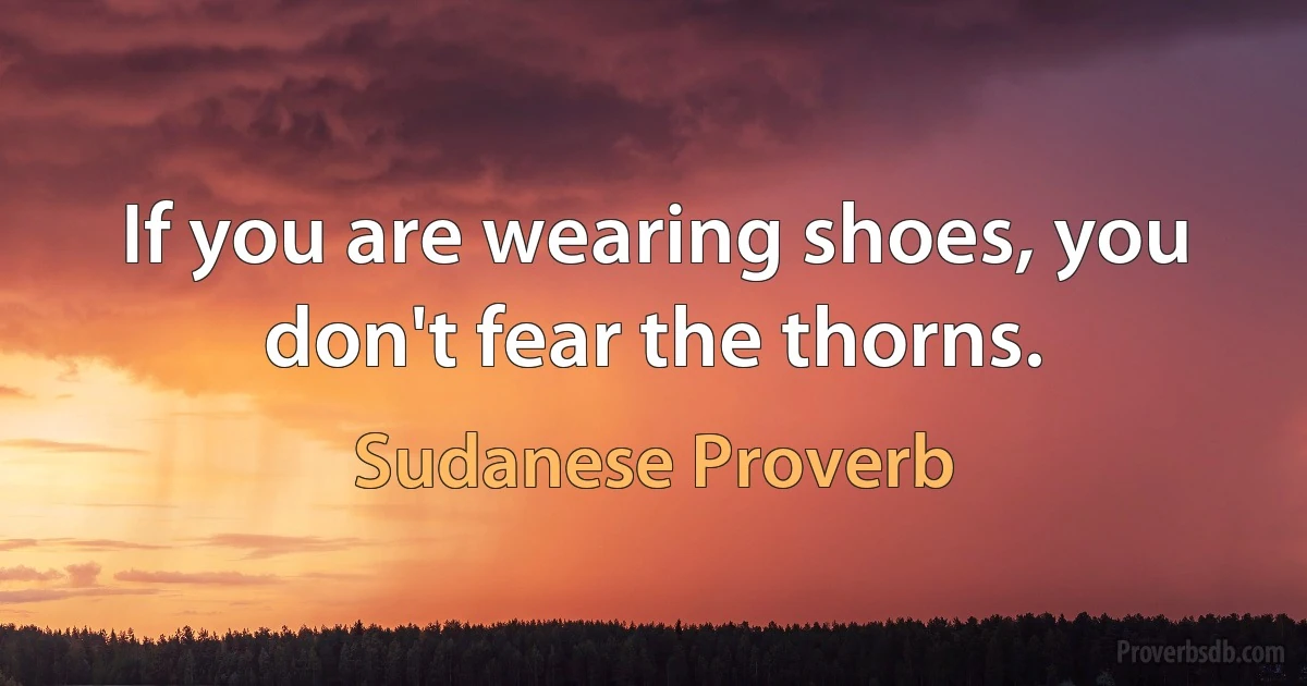 If you are wearing shoes, you don't fear the thorns. (Sudanese Proverb)