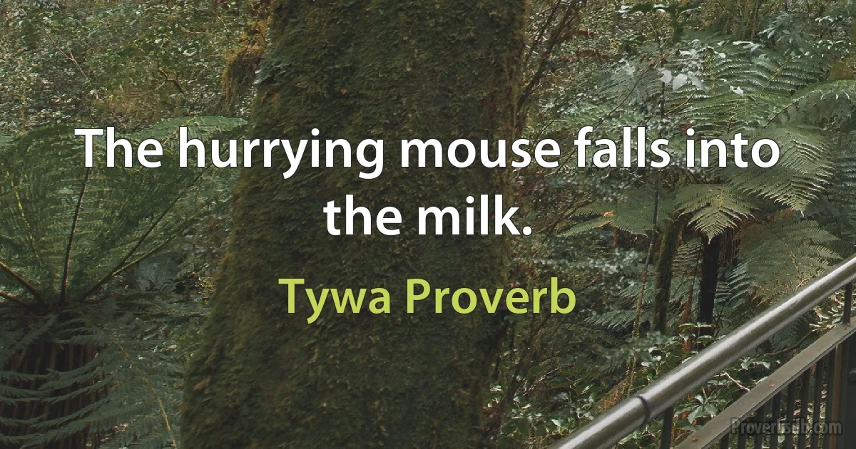 The hurrying mouse falls into the milk. (Tywa Proverb)