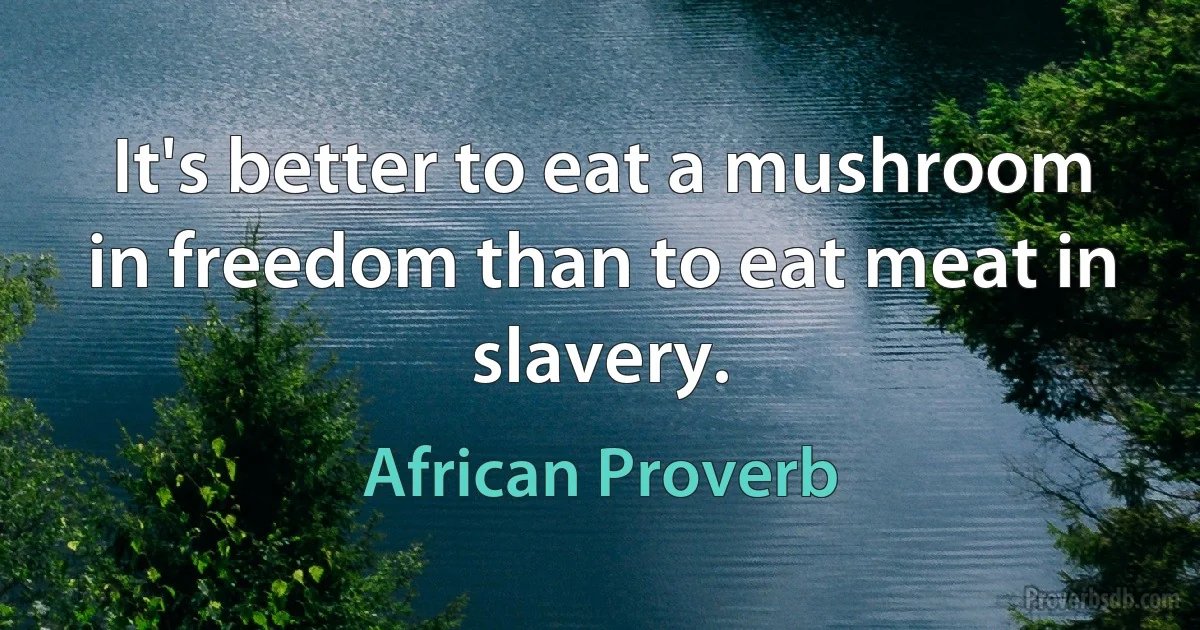 It's better to eat a mushroom in freedom than to eat meat in slavery. (African Proverb)