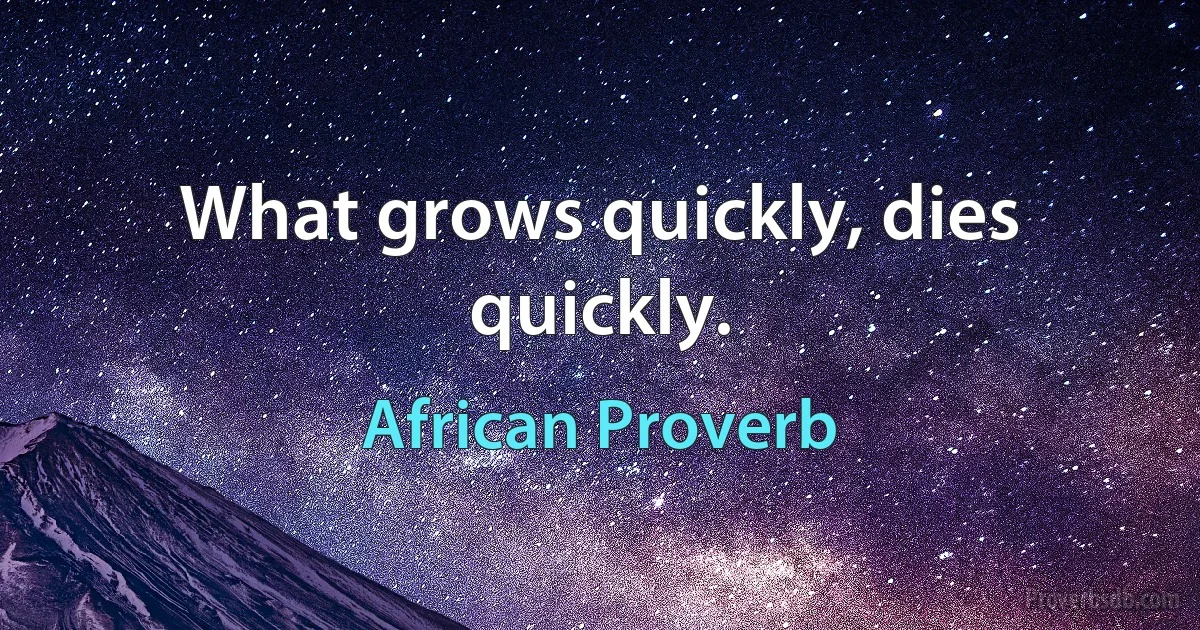 What grows quickly, dies quickly. (African Proverb)