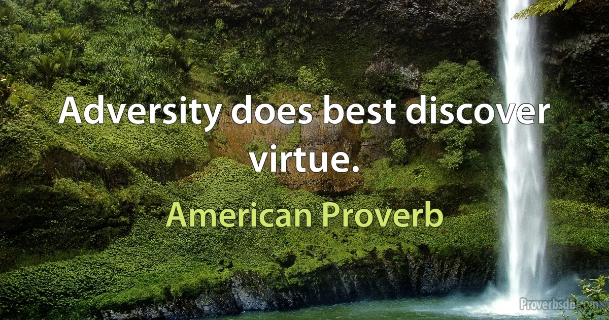 Adversity does best discover virtue. (American Proverb)