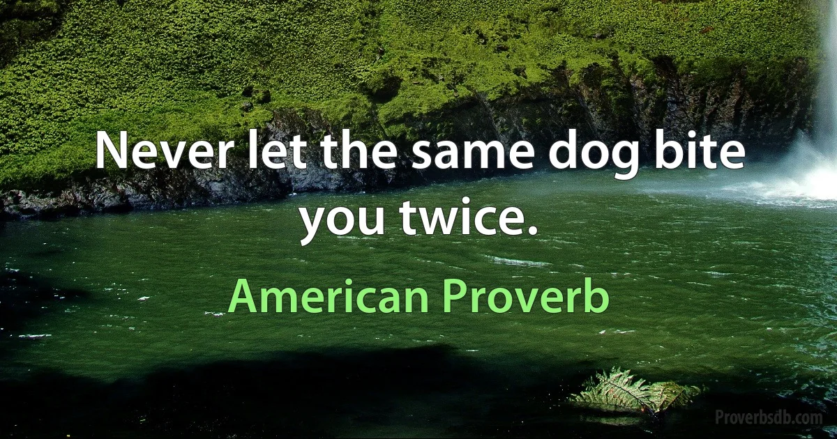 Never let the same dog bite you twice. (American Proverb)