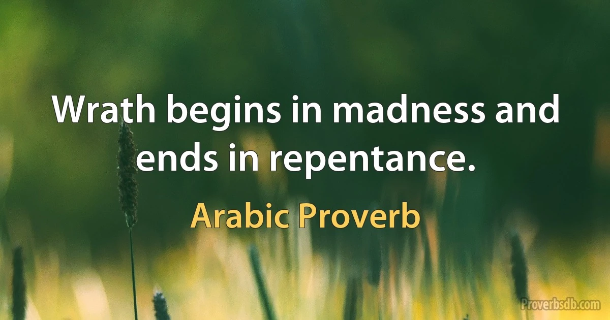 Wrath begins in madness and ends in repentance. (Arabic Proverb)