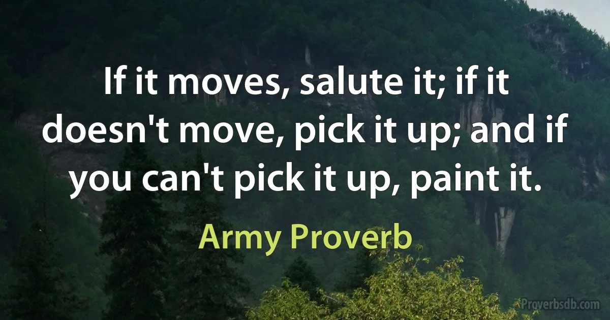 If it moves, salute it; if it doesn't move, pick it up; and if you can't pick it up, paint it. (Army Proverb)