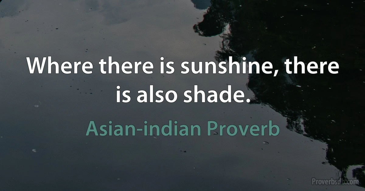 Where there is sunshine, there is also shade. (Asian-indian Proverb)