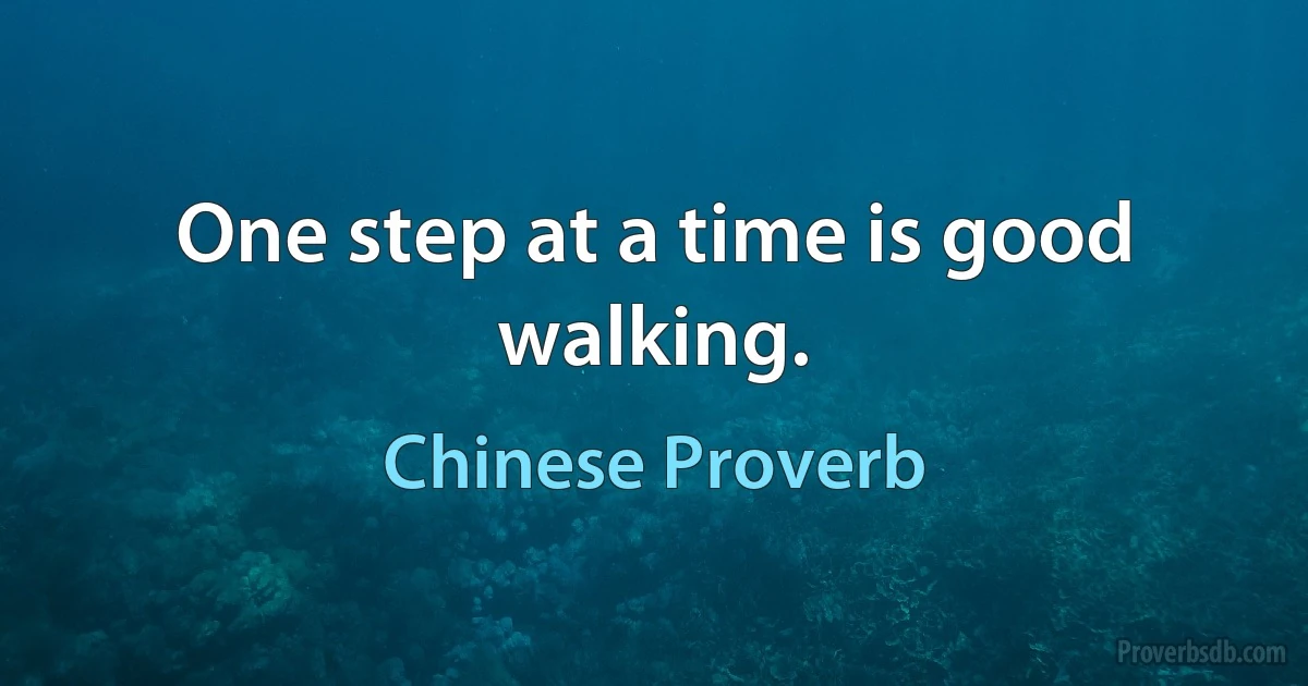 One step at a time is good walking. (Chinese Proverb)