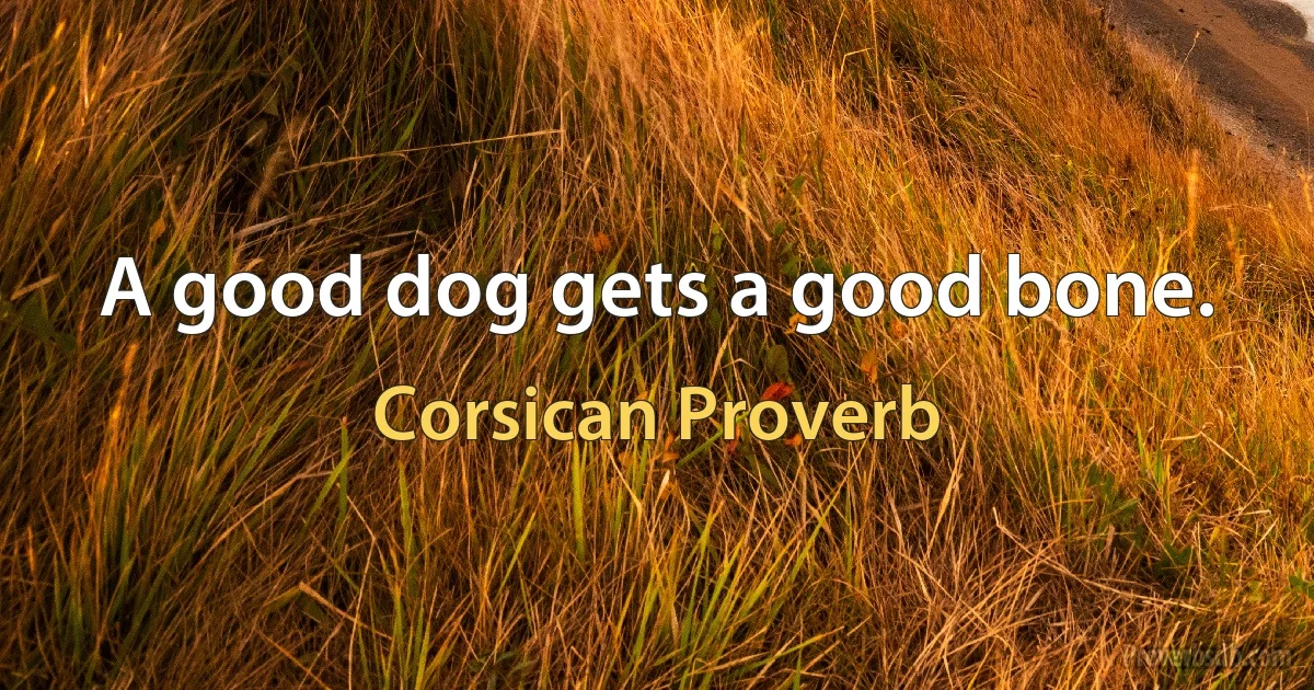 A good dog gets a good bone. (Corsican Proverb)