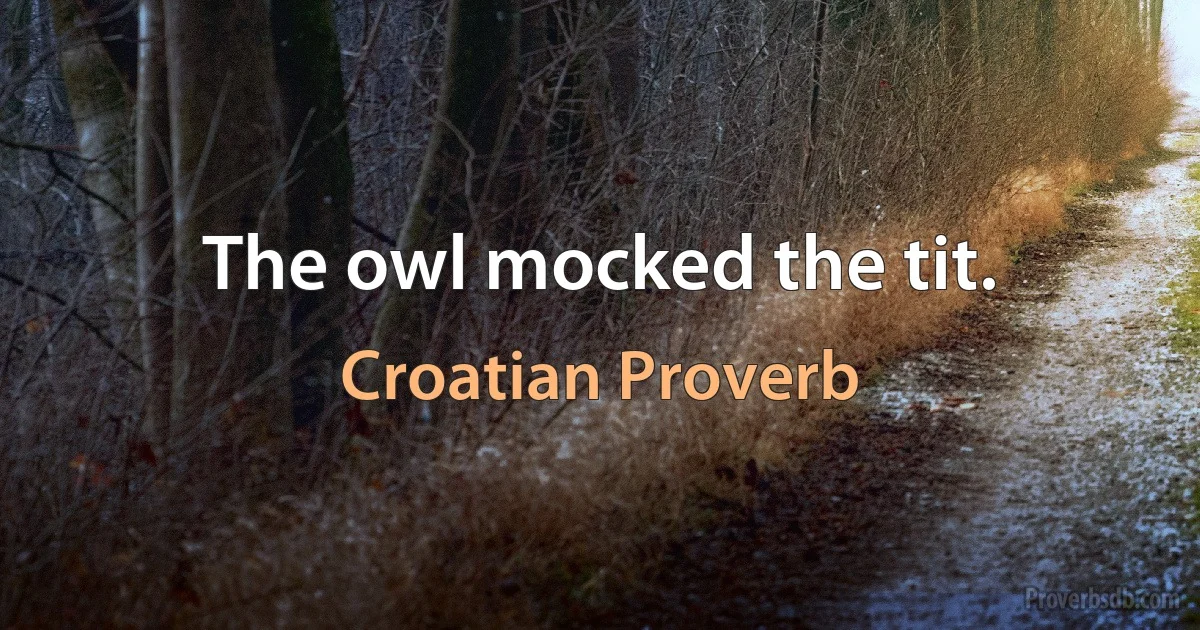 The owl mocked the tit. (Croatian Proverb)