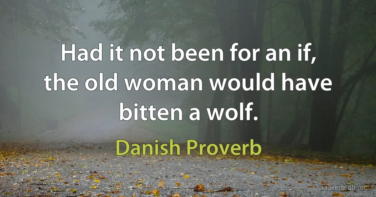 Had it not been for an if, the old woman would have bitten a wolf. (Danish Proverb)