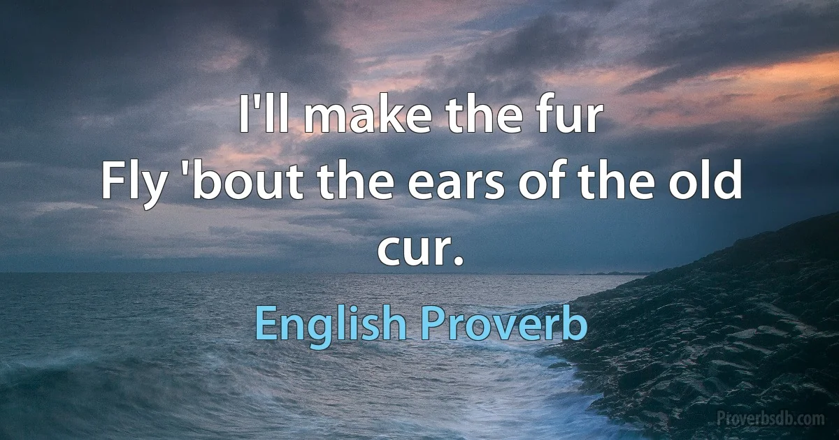 I'll make the fur
Fly 'bout the ears of the old cur. (English Proverb)