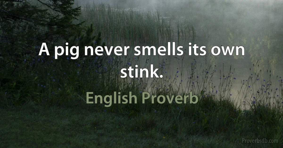 A pig never smells its own stink. (English Proverb)