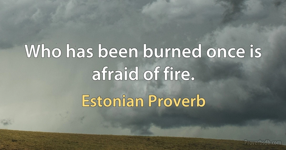 Who has been burned once is afraid of fire. (Estonian Proverb)