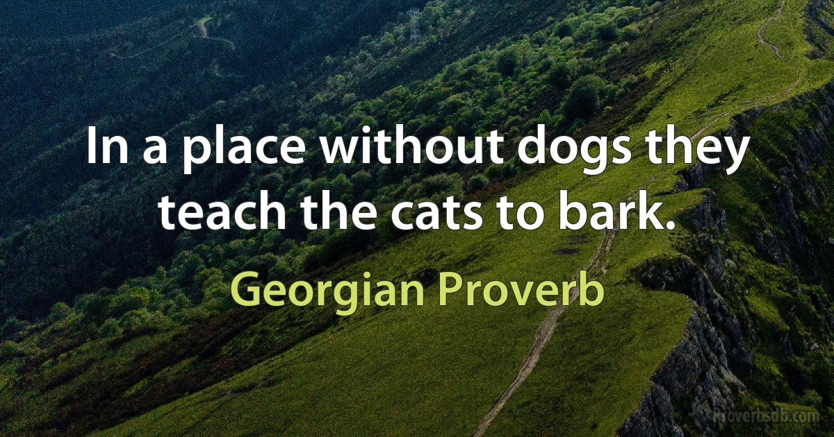 In a place without dogs they teach the cats to bark. (Georgian Proverb)