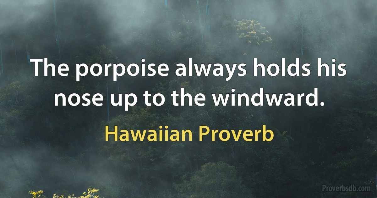 The porpoise always holds his nose up to the windward. (Hawaiian Proverb)