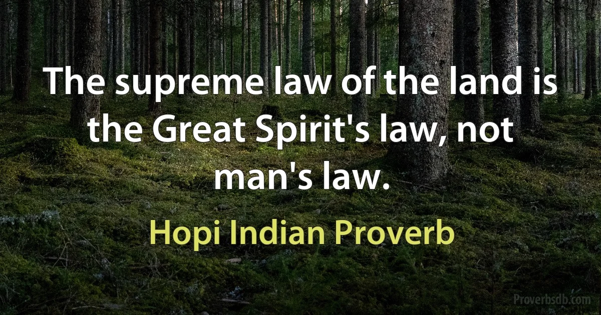 The supreme law of the land is the Great Spirit's law, not man's law. (Hopi Indian Proverb)