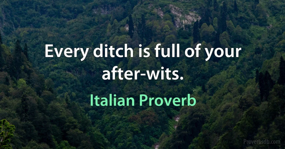 Every ditch is full of your after-wits. (Italian Proverb)