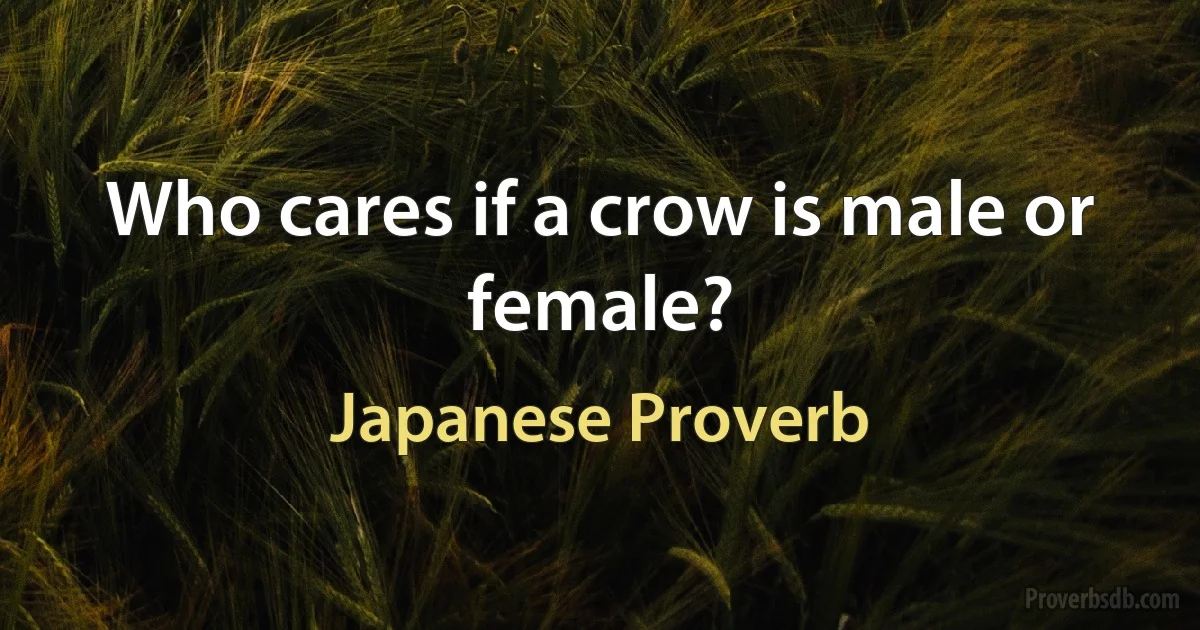 Who cares if a crow is male or female? (Japanese Proverb)