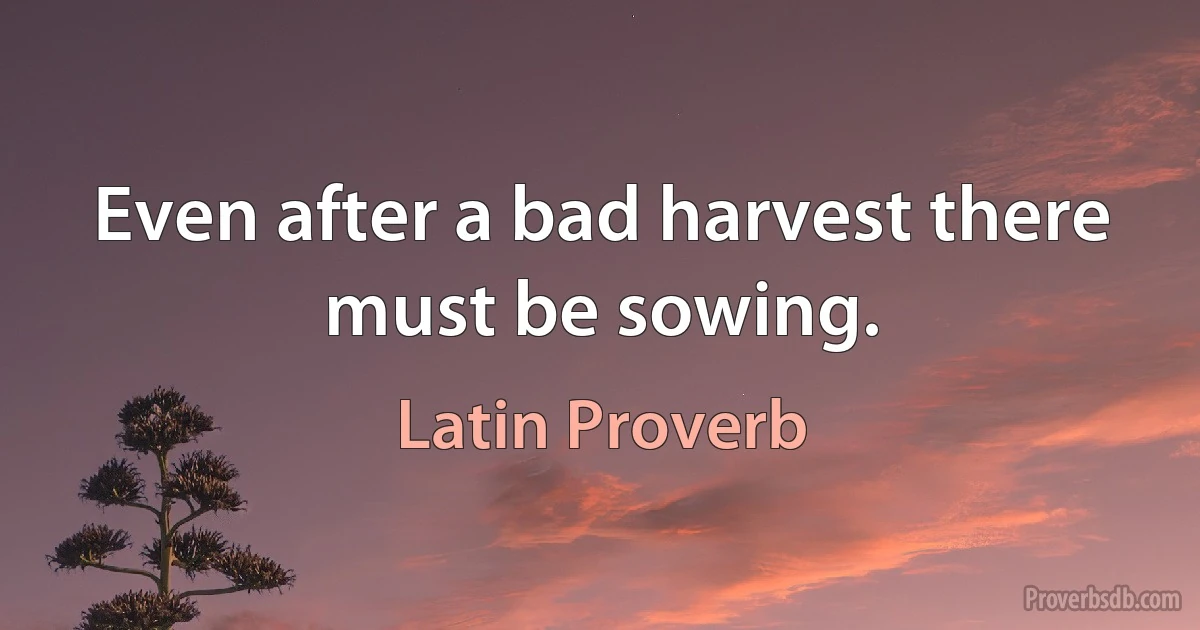 Even after a bad harvest there must be sowing. (Latin Proverb)