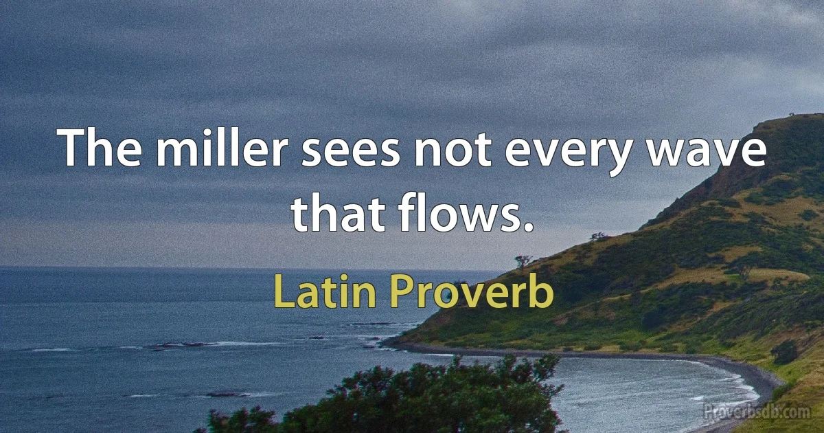 The miller sees not every wave that flows. (Latin Proverb)