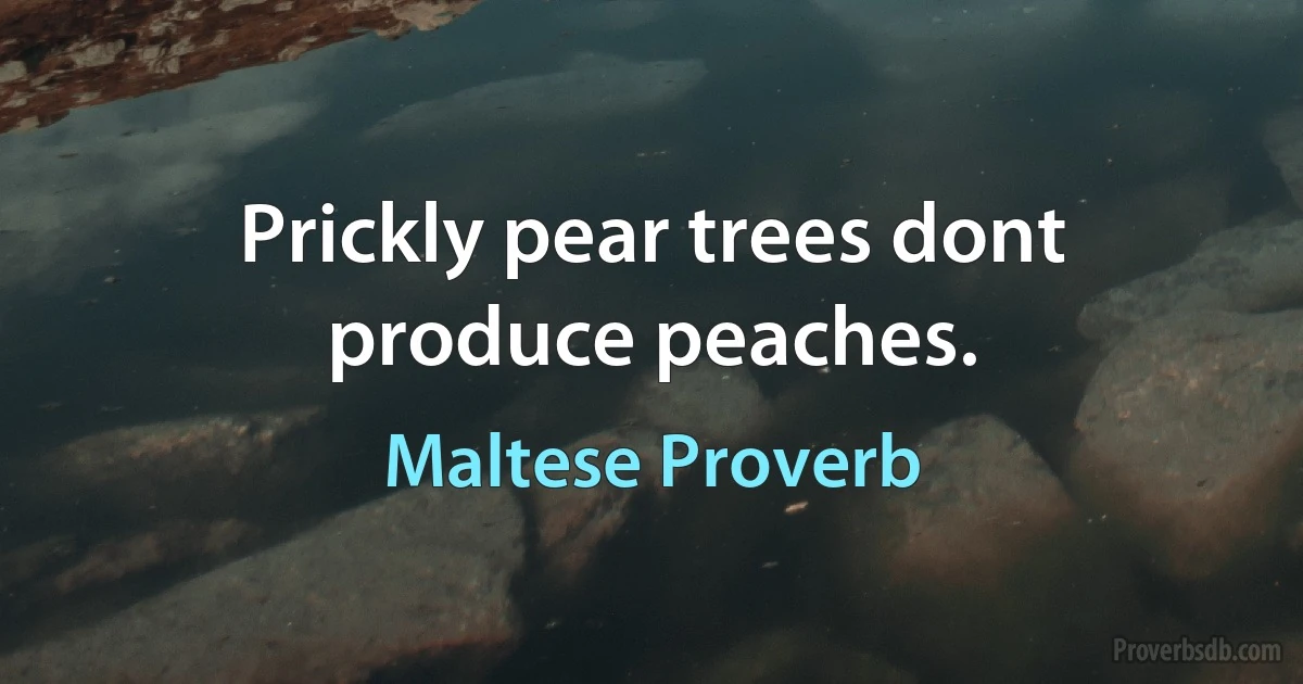 Prickly pear trees dont produce peaches. (Maltese Proverb)