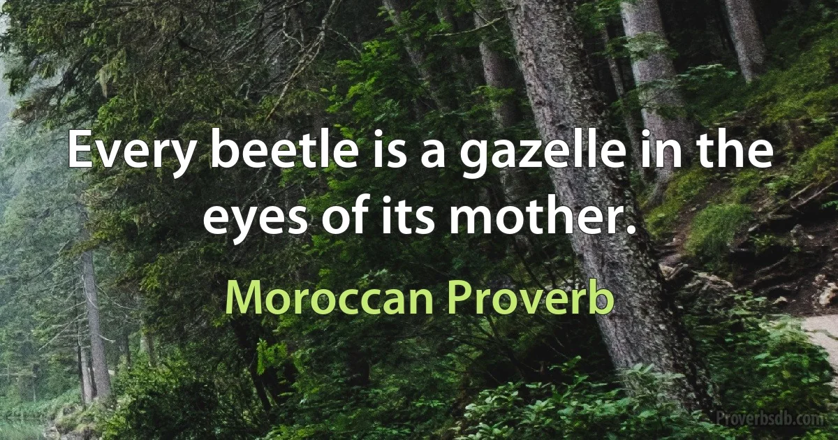 Every beetle is a gazelle in the eyes of its mother. (Moroccan Proverb)