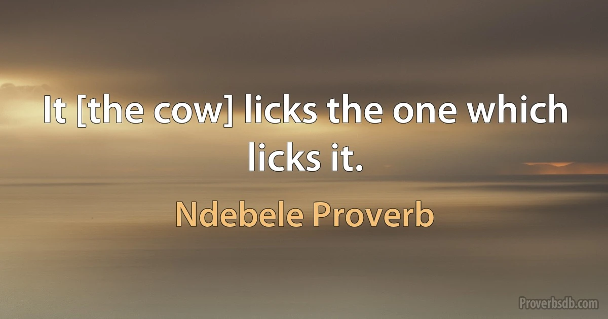 It [the cow] licks the one which licks it. (Ndebele Proverb)