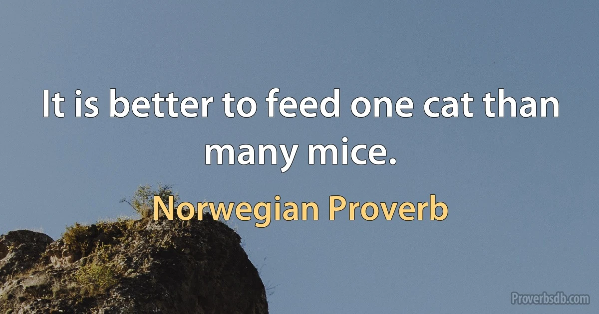 It is better to feed one cat than many mice. (Norwegian Proverb)