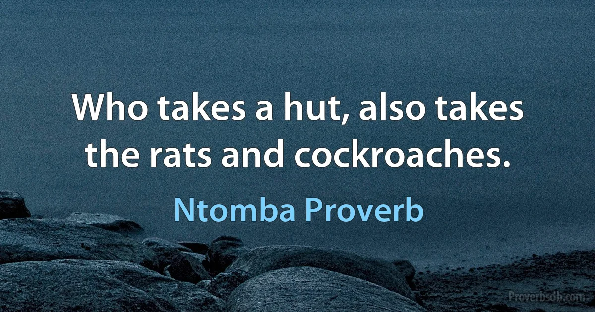 Who takes a hut, also takes the rats and cockroaches. (Ntomba Proverb)