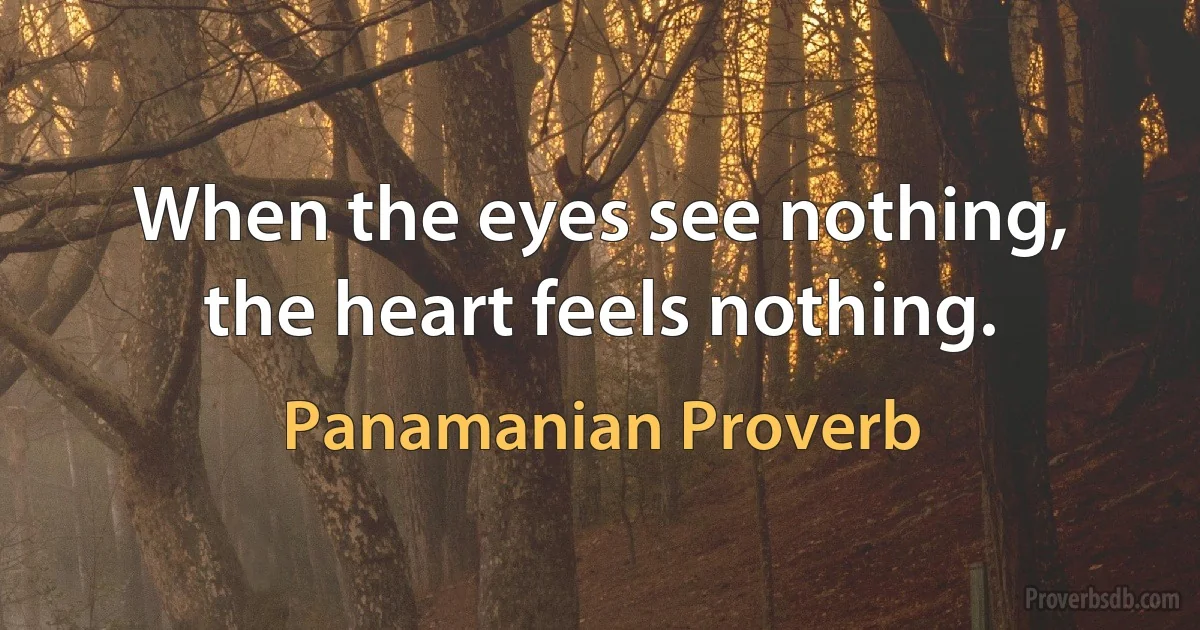 When the eyes see nothing, the heart feels nothing. (Panamanian Proverb)