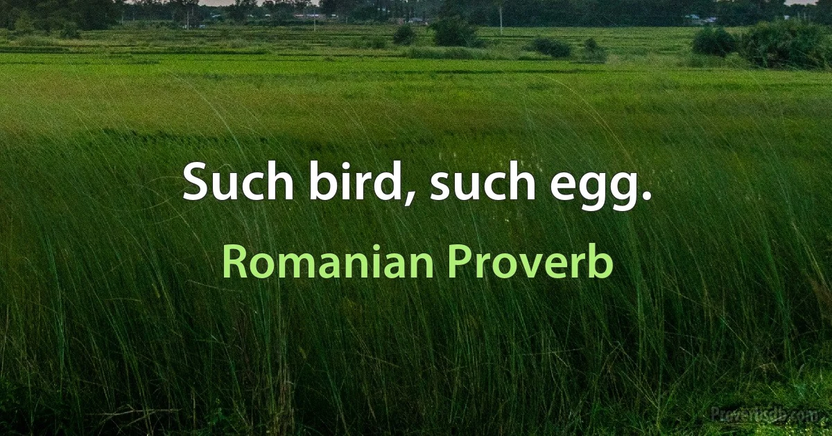 Such bird, such egg. (Romanian Proverb)