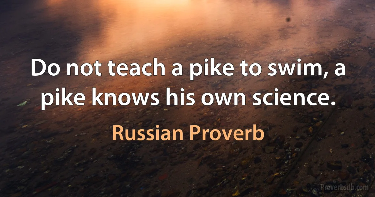 Do not teach a pike to swim, a pike knows his own science. (Russian Proverb)