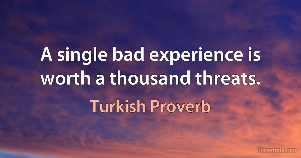 A single bad experience is worth a thousand threats. (Turkish Proverb)