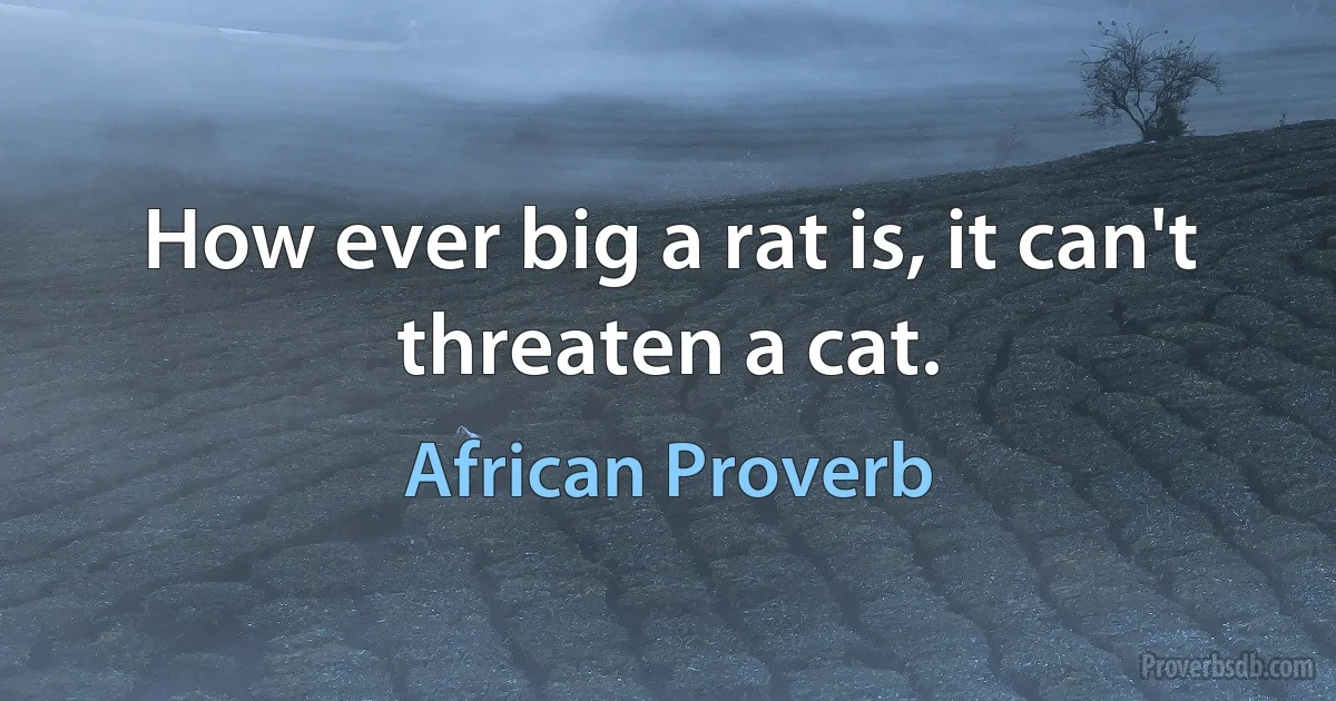 How ever big a rat is, it can't threaten a cat. (African Proverb)