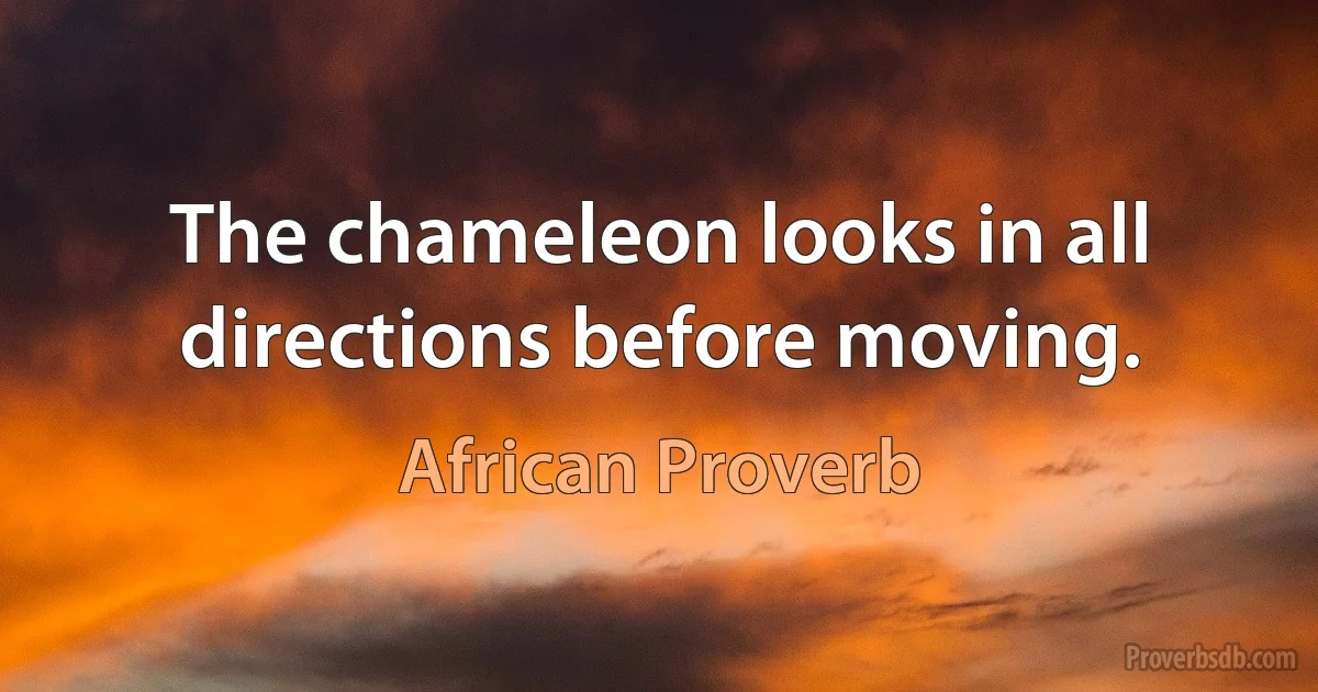 The chameleon looks in all directions before moving. (African Proverb)