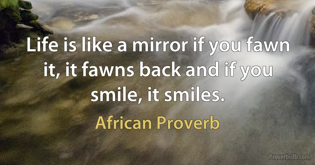 Life is like a mirror if you fawn it, it fawns back and if you smile, it smiles. (African Proverb)