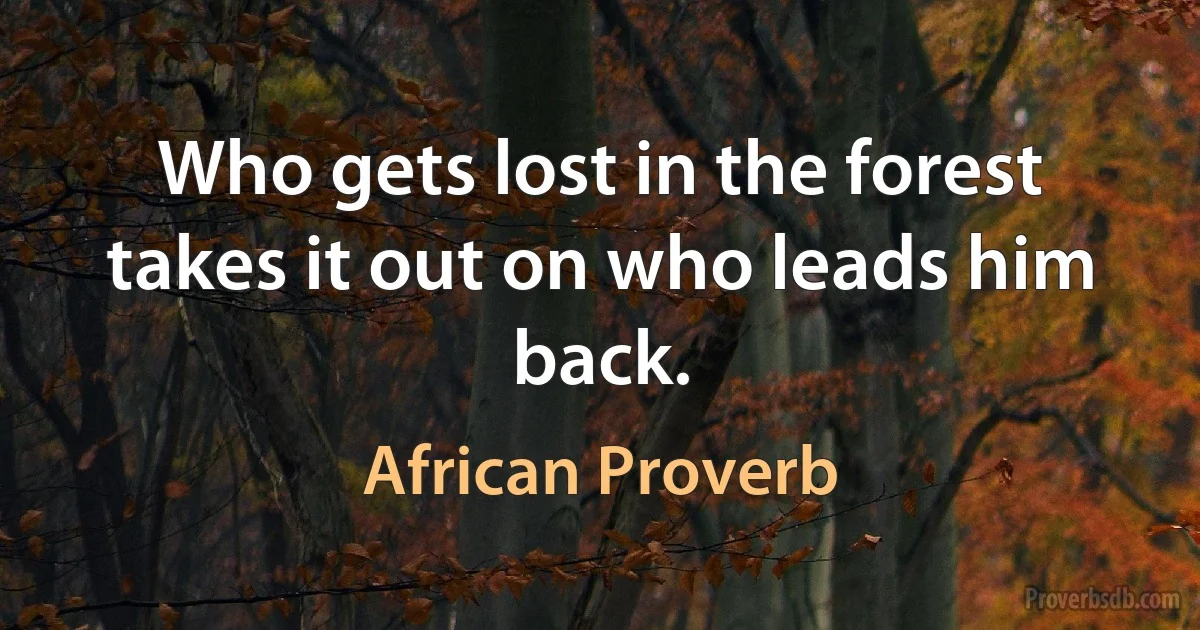 Who gets lost in the forest takes it out on who leads him back. (African Proverb)