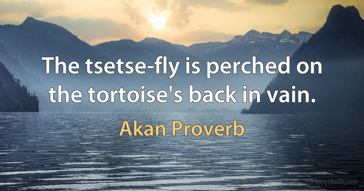 The tsetse-fly is perched on the tortoise's back in vain. (Akan Proverb)